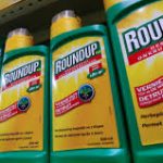 Bayer, Monsanto Continue Roundup Payouts